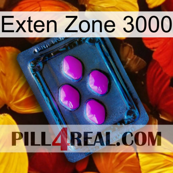 Exten Zone 3000 04.jpg